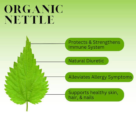 Hair Care Botanical Collection 🌿