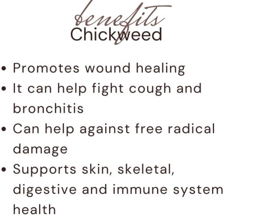 Loose Herbs- Chickweed