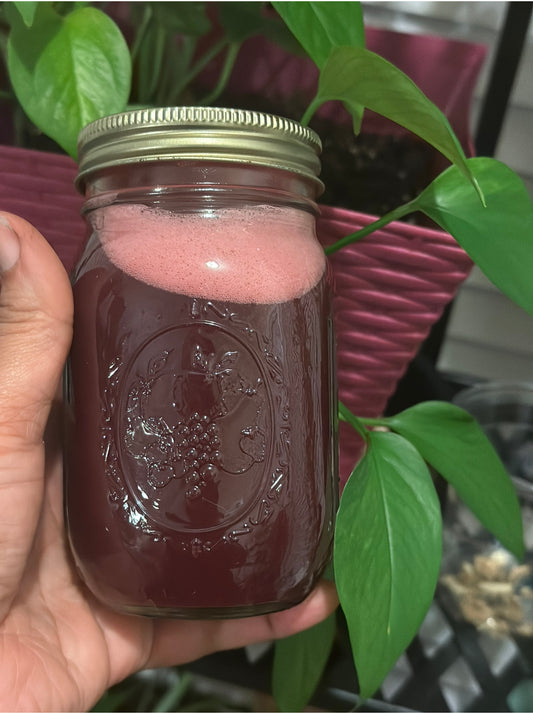 Handcrafted Fresh Pomegranate Juice